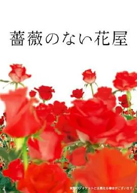 《没有玫瑰的花店》：温柔治愈，谱写爱与希望的暖心诗篇