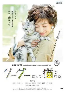 《咕咕是一只猫第一季》：治愈系猫咪的温暖日常