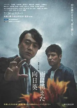 《雨中消失的向日葵》：悬疑与<a>战争</a>交织的感人故事