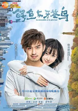 《鳄鱼与牙签鸟》：青春的碰撞与建筑梦想的交织