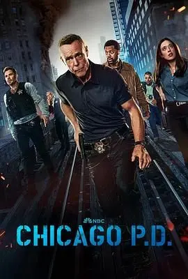 《芝加哥警署第十二季》：正义之光永不熄灭？血与火中坚守的底线！