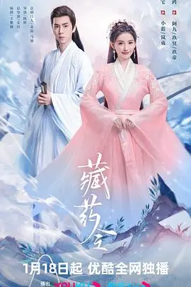 藏药令 海报